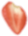 shape20