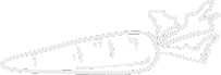 shape37