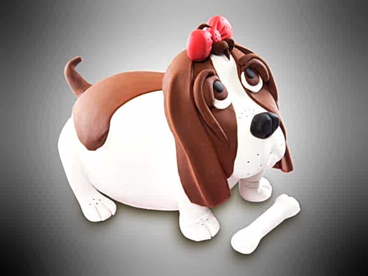 C 1007 köpek